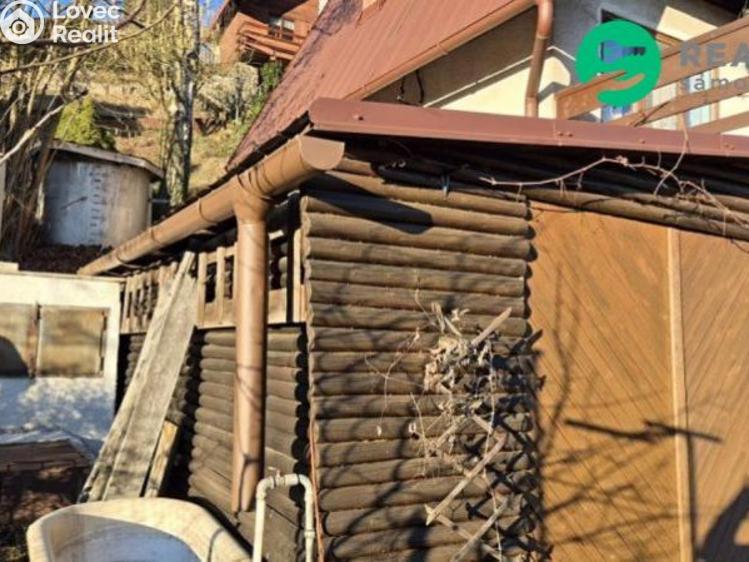 Sale hut Boršov, 1 č. 12