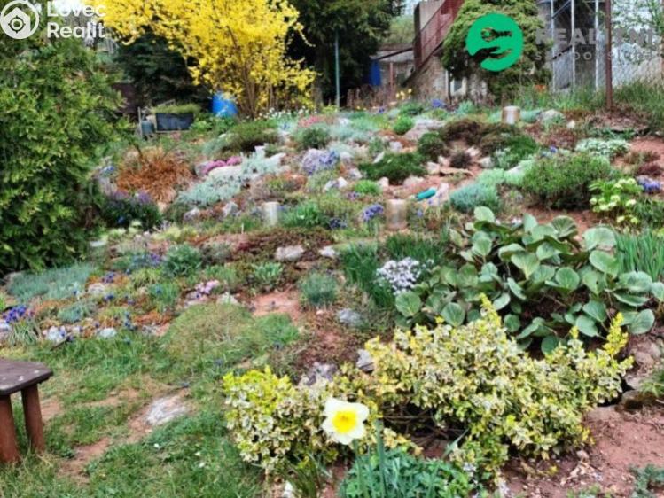 Sale hut Boršov, 1 č. 17