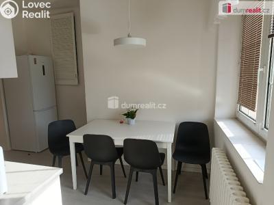 Pronájem bytu 2+1 Praha 6, Jenečská č. 5