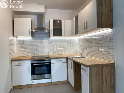 Pronájem bytu 2+KK Nový Jičín, K. Schwarze č. 1