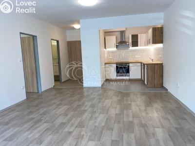 Pronájem bytu 2+KK Nový Jičín, K. Schwarze č. 3