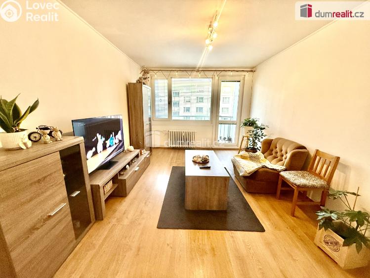 Pronájem bytu 2+1 Ústí nad Labem, 17. listopadu č. 3