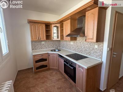 Pronájem bytu 2+1 Ústí nad Labem, 17. listopadu č. 1