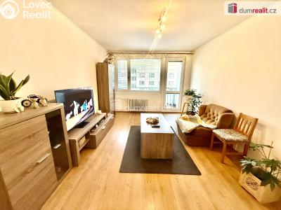 Pronájem bytu 2+1 Ústí nad Labem, 17. listopadu č. 3