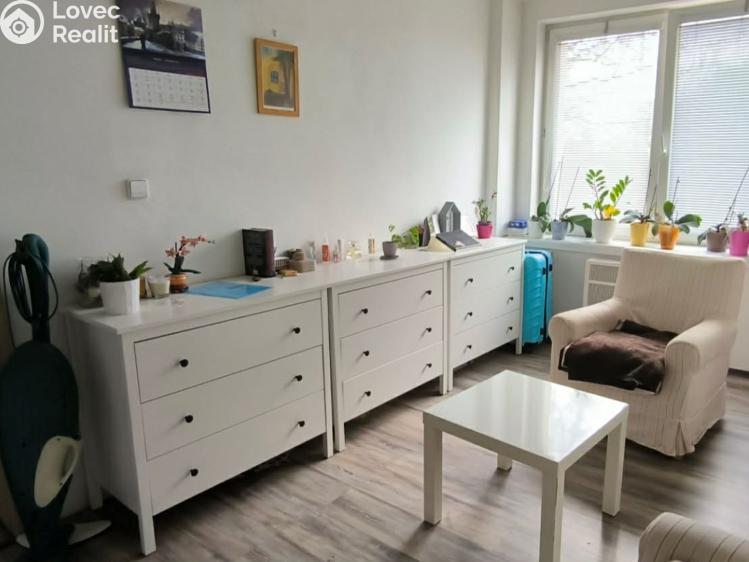 Pronájem bytu 2+KK Louny, Dukelská 1665 č. 3