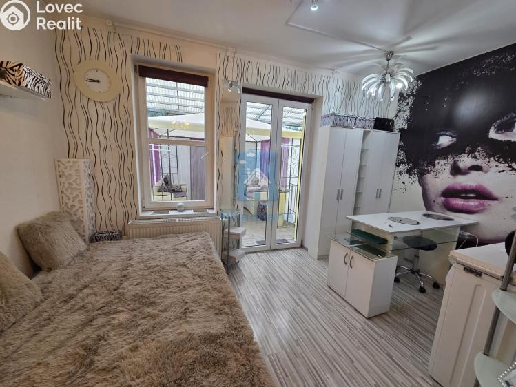 Pronájem bytu 1+KK Plzeň, Koterovská č. 1