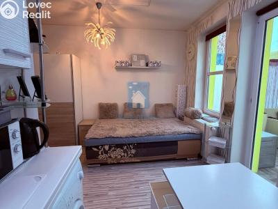 Pronájem bytu 1+KK Plzeň, Koterovská č. 5