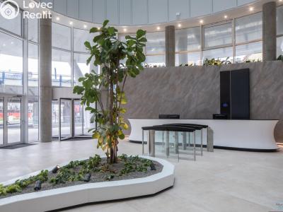 Pronájem obchodního prostoru Praha, Plzeňská č. 4