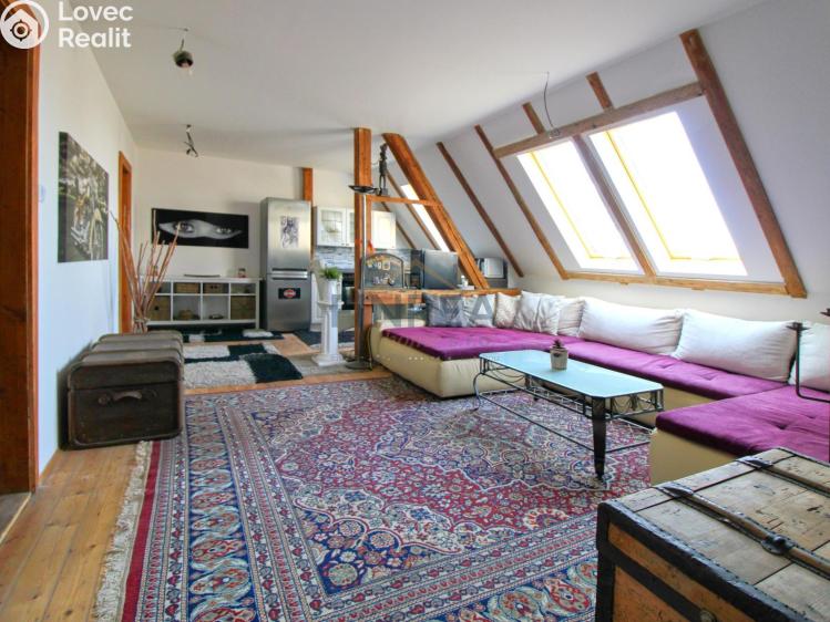 Prodej atypického bytu Litvínov, S. K. Neumanna 1090 č. 1