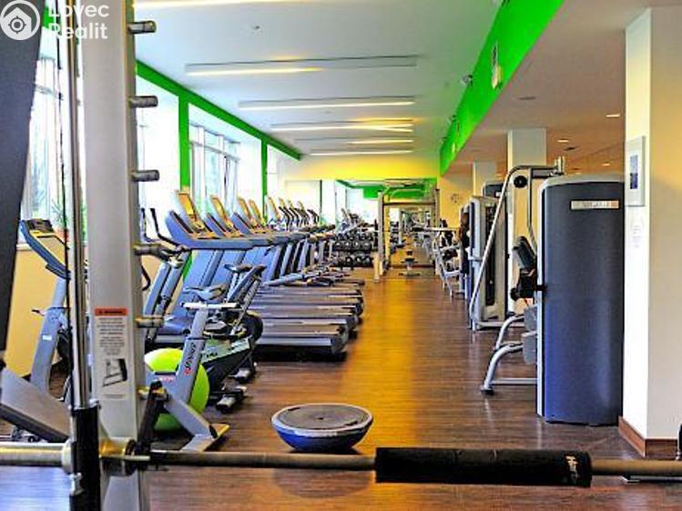 Pronájem obchodního prostoru Praha, Evropská č. 12