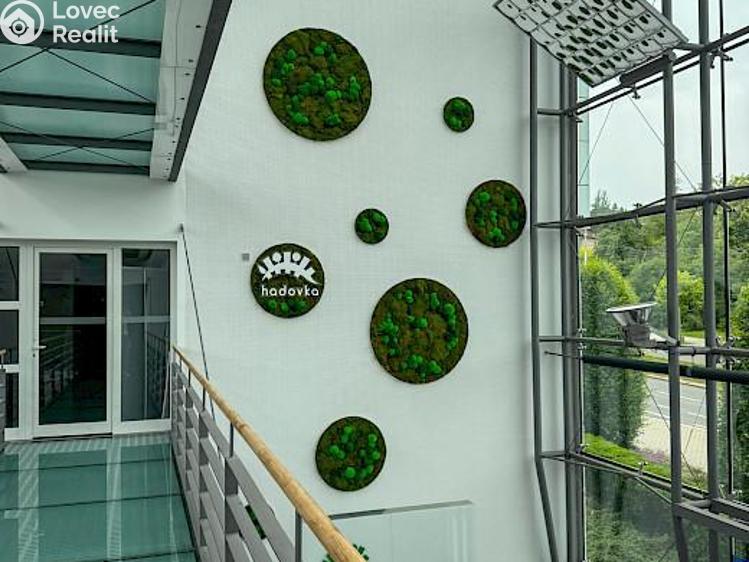 Pronájem obchodního prostoru Praha, Evropská č. 13