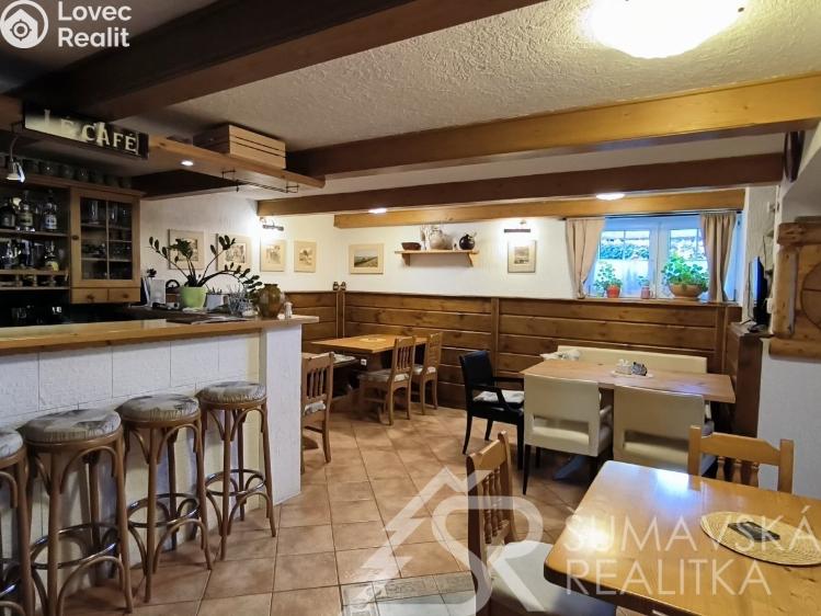 Prodej ubytovacího zařízení Zdíkov č. 12