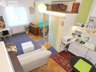 Pronájem bytu 1+KK Praha, Severní IV č. 2