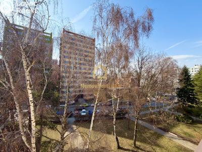 Pronájem bytu 3+1 Ostrava, Petra Křičky č. 5