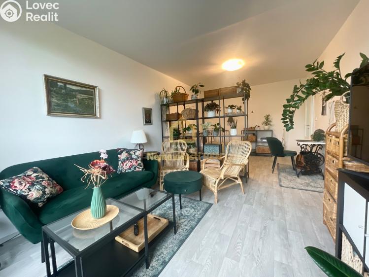 Pronájem bytu 2+1 Frýdek-Místek, Anenská č. 1