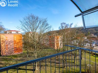 Sale apartment 3+1 Ústí nad Labem, 17. listopadu č. 8