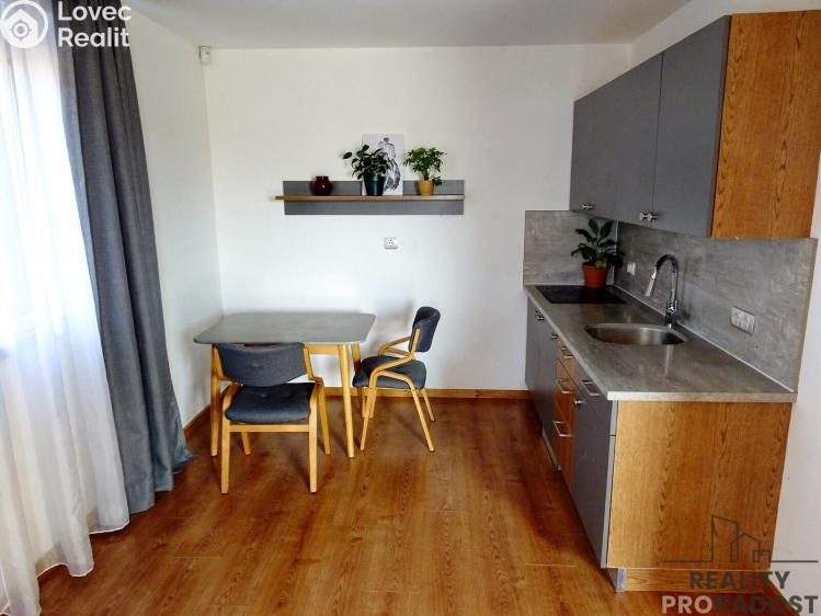 Продажа семейного дома Pardubice, Na Vsi č. 8