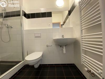 Pronájem bytu 1+KK Praha, Křížová č. 5