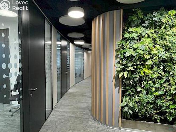 Аренда офисного помещения Praha, Jihlavská č. 5