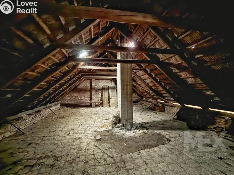 Продажа семейного дома Žiželice, Havlíčkova 181 č. 15