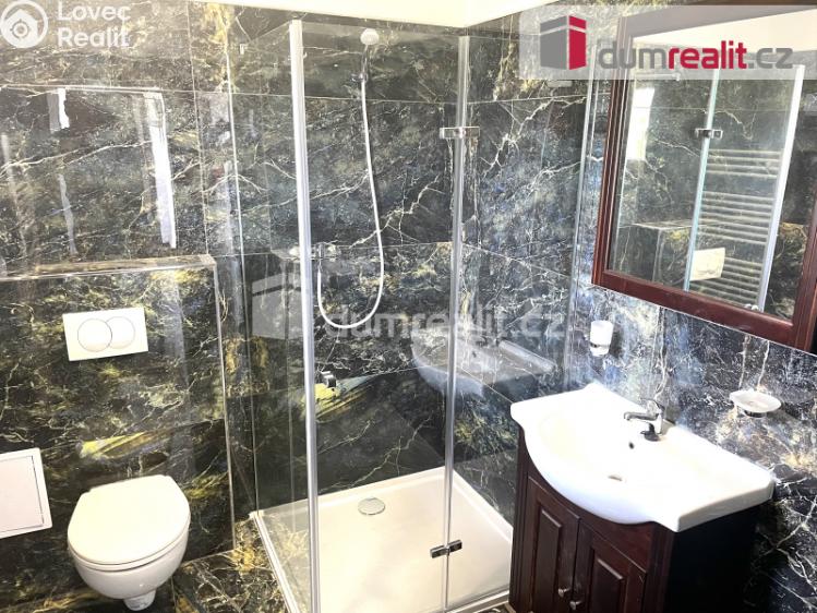 Pronájem bytu 1+KK Hradešín č. 7