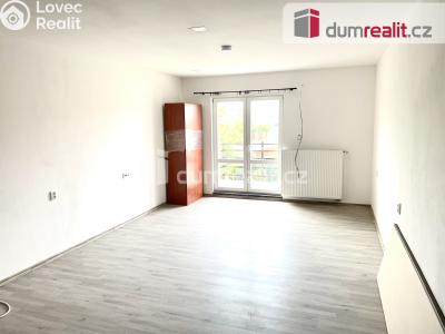 Rent apartment 1+KK Hradešín č. 5