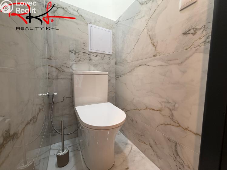 Pronájem bytu 2+1 Mladá Boleslav, Laurinova 1021/33 č. 17