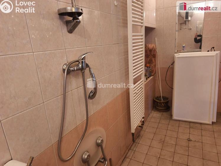 Sale cottage Plánice č. 4