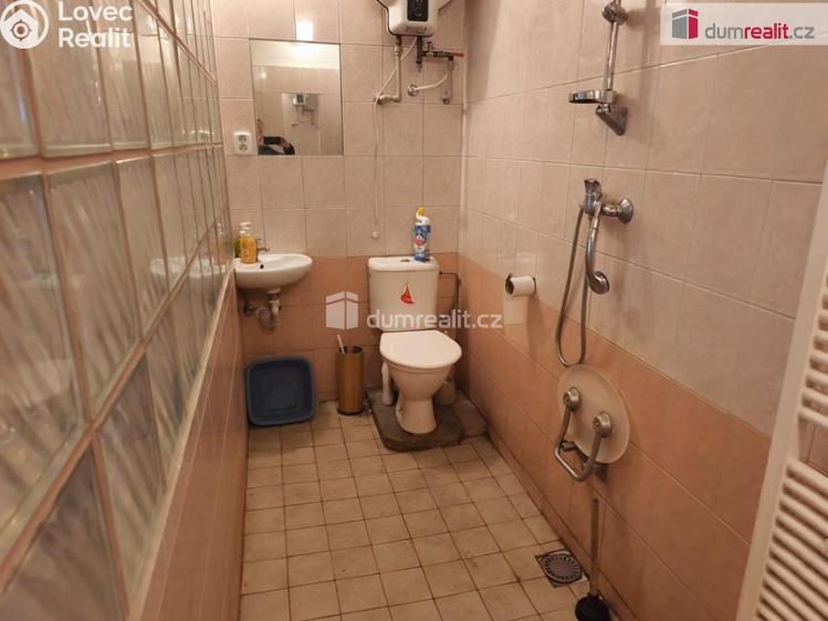 Sale cottage Plánice č. 5