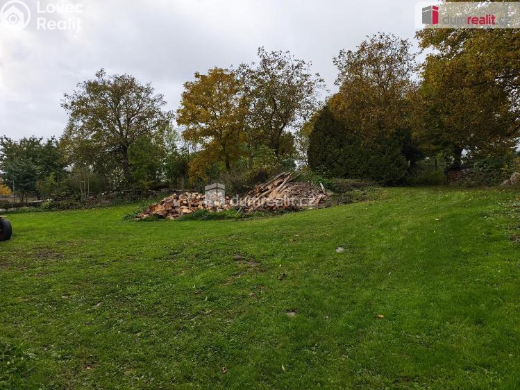 Sale cottage Plánice č. 23