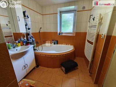 Продажа семейного дома Plánice č. 10
