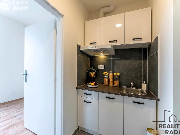 Rent apartment 2+1 Praha, Na břevnovské pláni č. 2