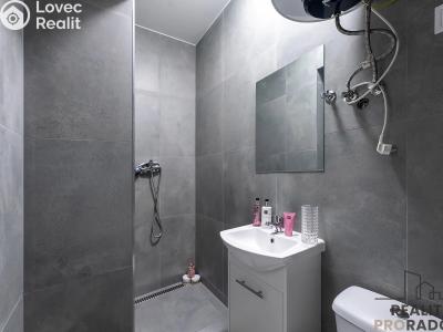 Rent apartment 2+1 Praha, Na břevnovské pláni č. 8