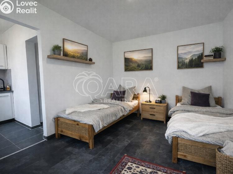 Prodej bytu 1+KK Město Albrechtice č. 4