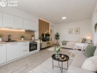 Продажа квартиры 2+KK Ostrava, Alšovo náměstí č. 1