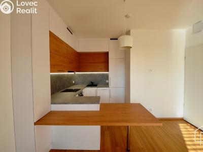 Pronájem bytu 2+KK Praha, Novodvorská č. 4