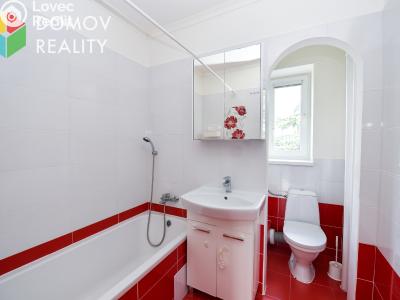 Продажа квартиры 3+KK Králův Dvůr, Pod Hájem 304 č. 4