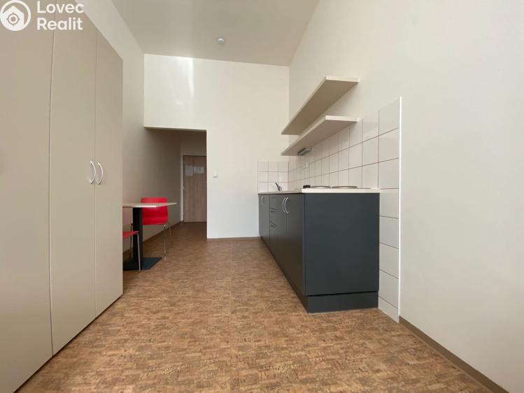 Pronájem bytu 1+KK Praha, Křížová 3194/6a č. 3