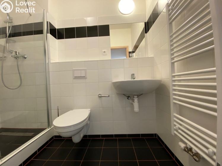 Pronájem bytu 1+KK Praha, Křížová 3194/6a č. 6