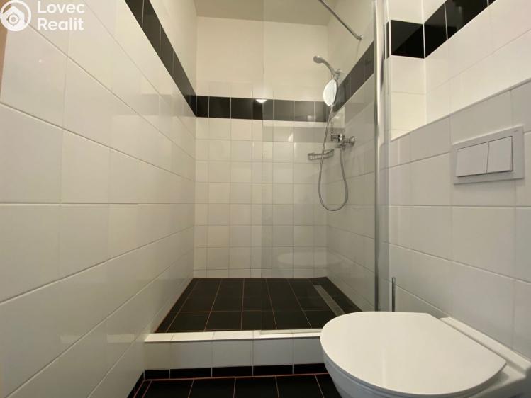 Pronájem bytu 1+KK Praha, Křížová 3194/6a č. 7