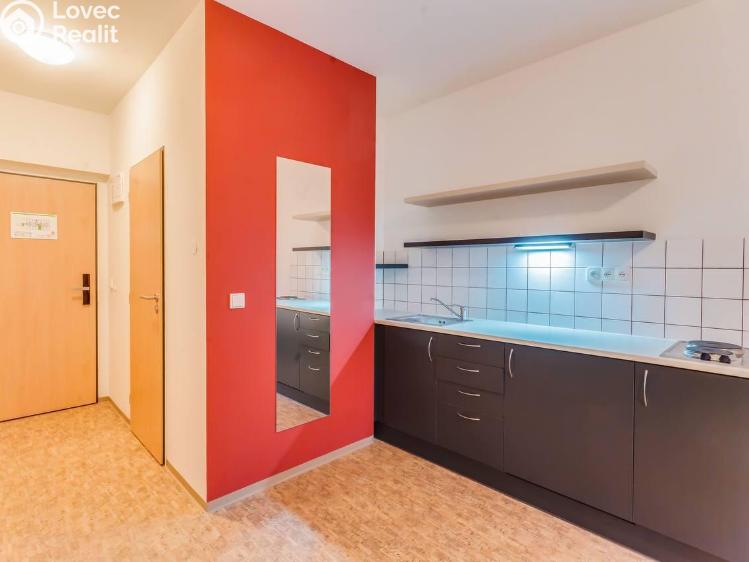 Pronájem apartmánů Praha, Křížová č. 2
