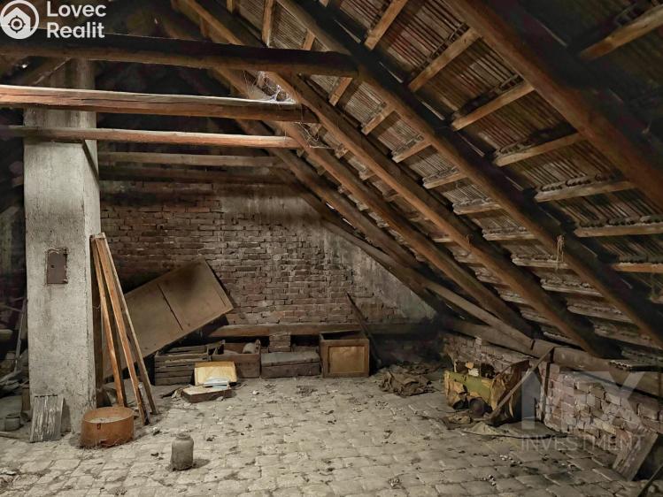 Продажа семейного дома Žiželice, Havlíčkova 181 č. 17