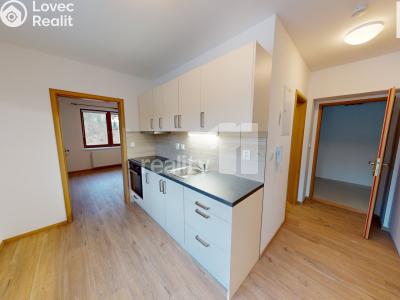 Rent apartment 1+1 Světlá nad Sázavou č. 1