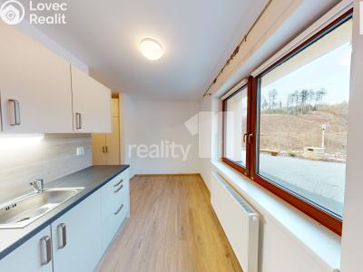 Rent apartment 1+1 Světlá nad Sázavou č. 2