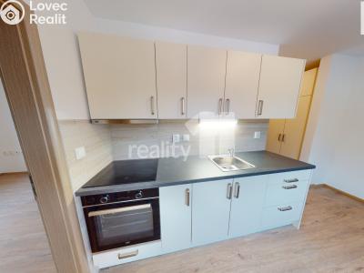 Rent apartment 1+1 Světlá nad Sázavou č. 6