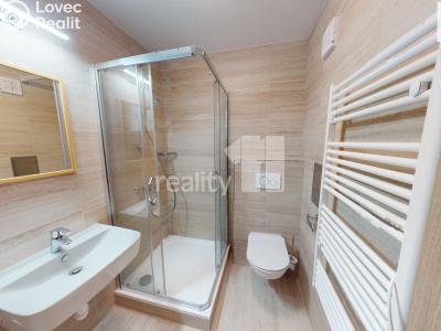 Rent apartment 1+1 Světlá nad Sázavou č. 9
