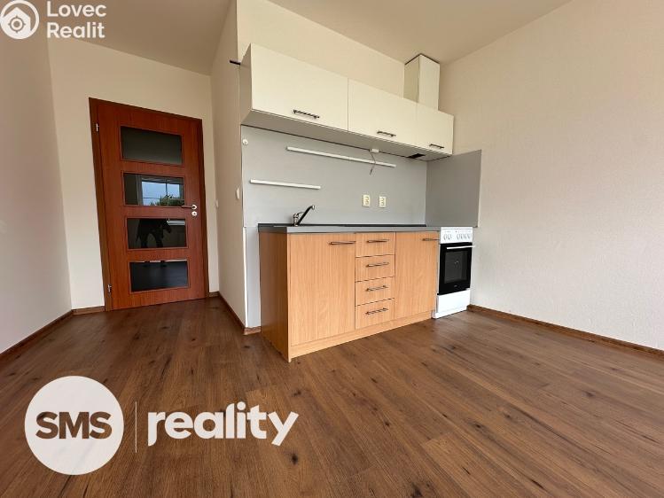Pronájem bytu 1+KK Opava, Hálkova č. 2
