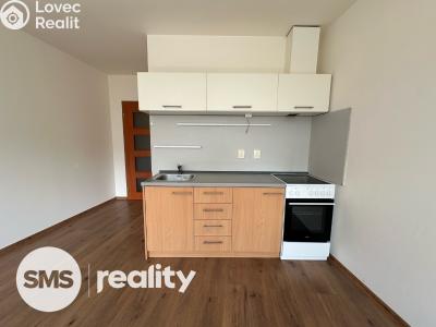 Pronájem bytu 1+KK Opava, Hálkova č. 3