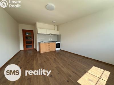 Pronájem bytu 1+KK Opava, Hálkova č. 4