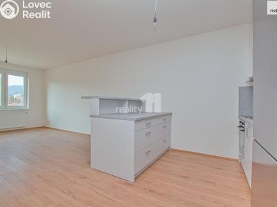 Pronájem bytu 2+KK Liberec, Švermova č. 6